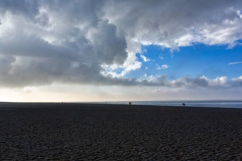 View of the dark sand mudflats in autumn