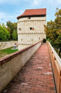 Loewenturm