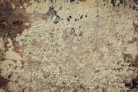 Texture grunge background of painted plaster wall
