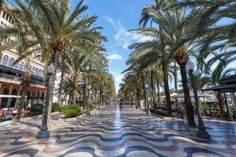 Alicante Alacant Boulevard Palm Avenue Esplanada dEspanya Vacation Travel Travel City in Alicante