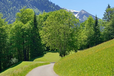 Narrow road leads into the Trettachtal valley near Oberstdorf