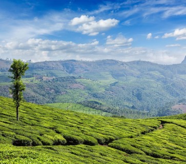 Kerala India travel background
