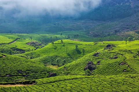 Kerala India travel background