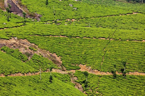 Kerala India travel background