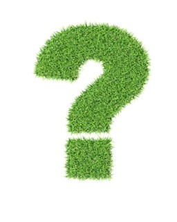 Grass alphabet exclamation mark