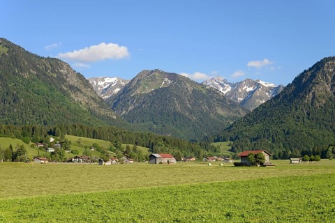 View from the Loretto meadows to the hay harvest and to the mountain Riefenkopf 1748 m