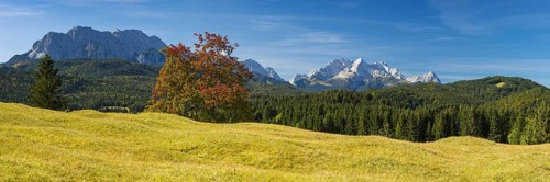 Mogul meadows between Mittenwald and Kruen