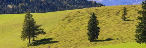 Buckelwiesen between Mittenwald and Kruen