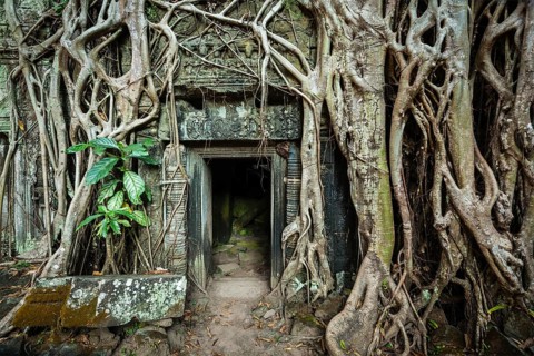 Travel Cambodia concept background