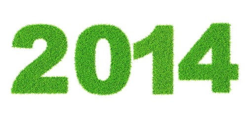 Grass word summer