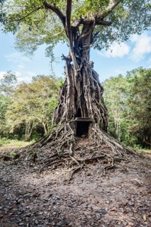 Sambor Prei Kuk Pre-Angkorian temple complex ruins. Kampong Thom
