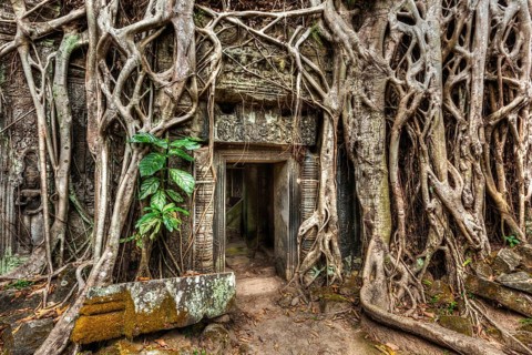 Travel Cambodia concept background