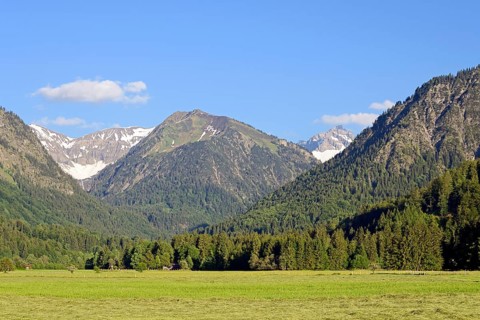 View from the Loretto meadows to the hay harvest and to the mountain Riefenkopf 1748m