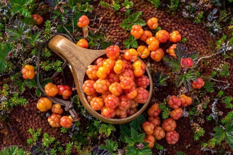 Cloudberries