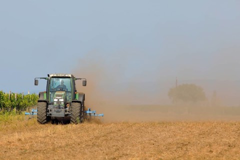 Agriculture