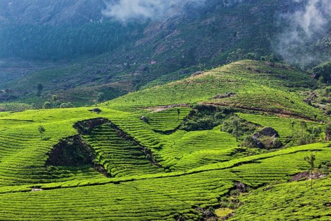 Kerala India travel background