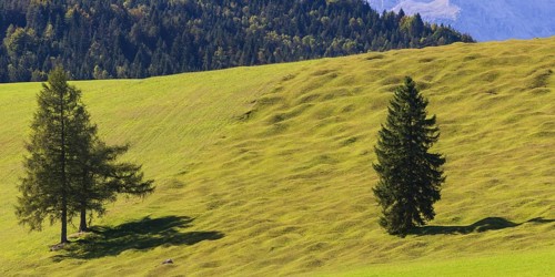 Buckelwiesen between Mittenwald and Kruen