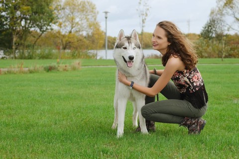 Girl playing with husky dog in city park. Training the dog