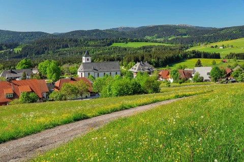 View over Breitnau to the Feldberg in spring