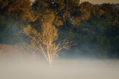 Fog rises from the water