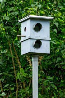 Dummy speed camera as a deterrent