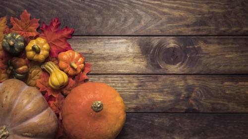 Composition ripe pumpkins autumn leaves