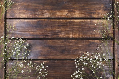 Light white flowers wood