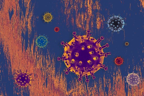 Coronavirus disease