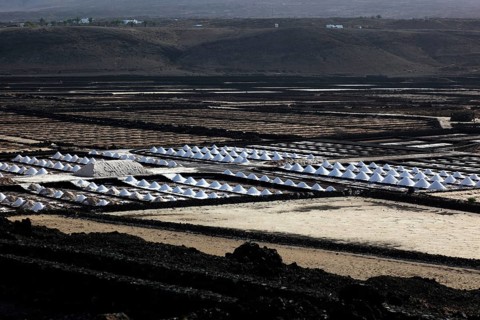 The Salinas de Janubio