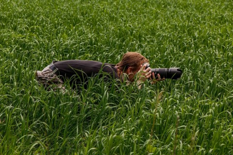 Wildlife photographer makes pictures with telephoto lens at the field