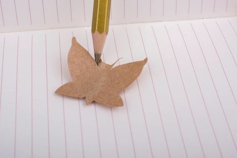 Paper is cut out in shape of a butterfly