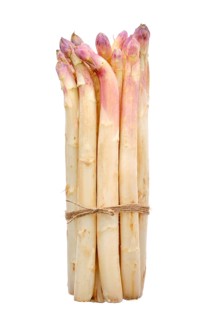 Bunch of asparagus stalks isolated on white background