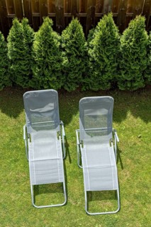 Two garden loungers in a meadow