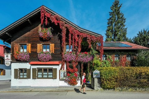 Wooden house with floral decoration and vegetation of widem vine