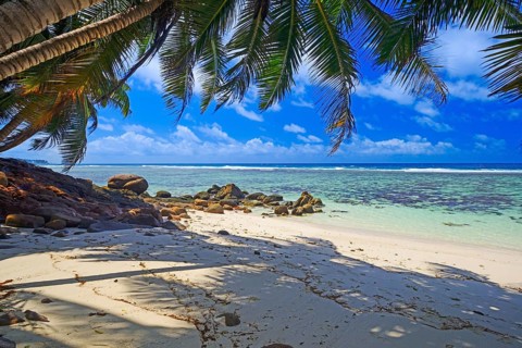Dream beach Anse Baleine