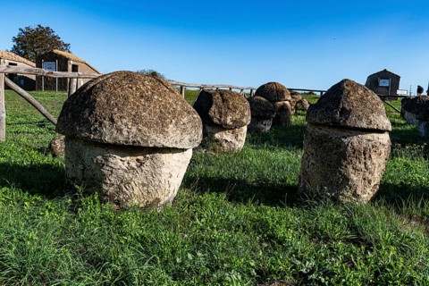 Unesco world heritage site Tarquinia