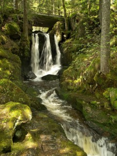 Waterfall and bridge in the gorge of the Menzenschwander Alb