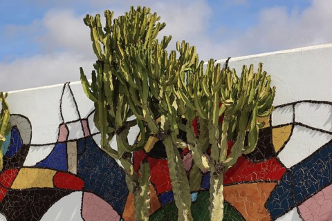 Fundacion Cesar Manrique