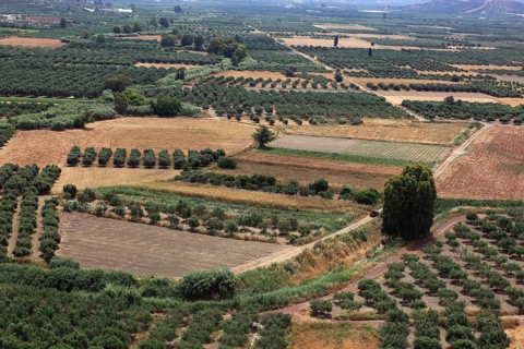 View over the Mesara plain