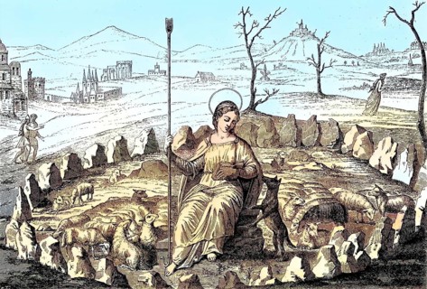 The good shepherdess
