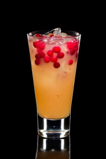 Cranberry cocktail with ice cubes