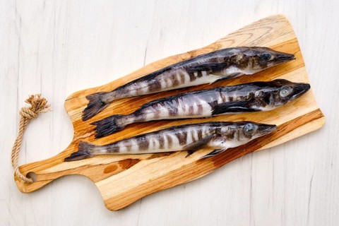 Top view of raw fresh icefish on wooden cutting board
