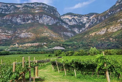 Vineyard in the Adige Valley with pilgrimage church Madonna della Corona high in the rock
