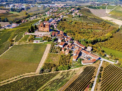 Aerials of the wineyards around Castle of Grinzane Cavour