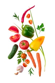 World vegan day concept