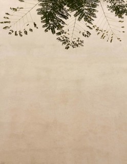 Natural leaves copy space wall background