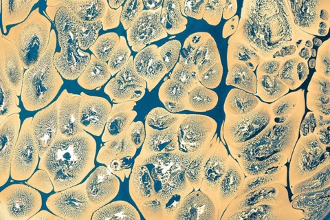 Ebru marbling handmade art