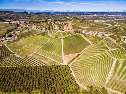 Aerials of the wineyards around Castle of Grinzane Cavour