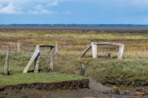 Landscape North Sea islandFoehr