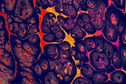 Ebru marbling handmade art